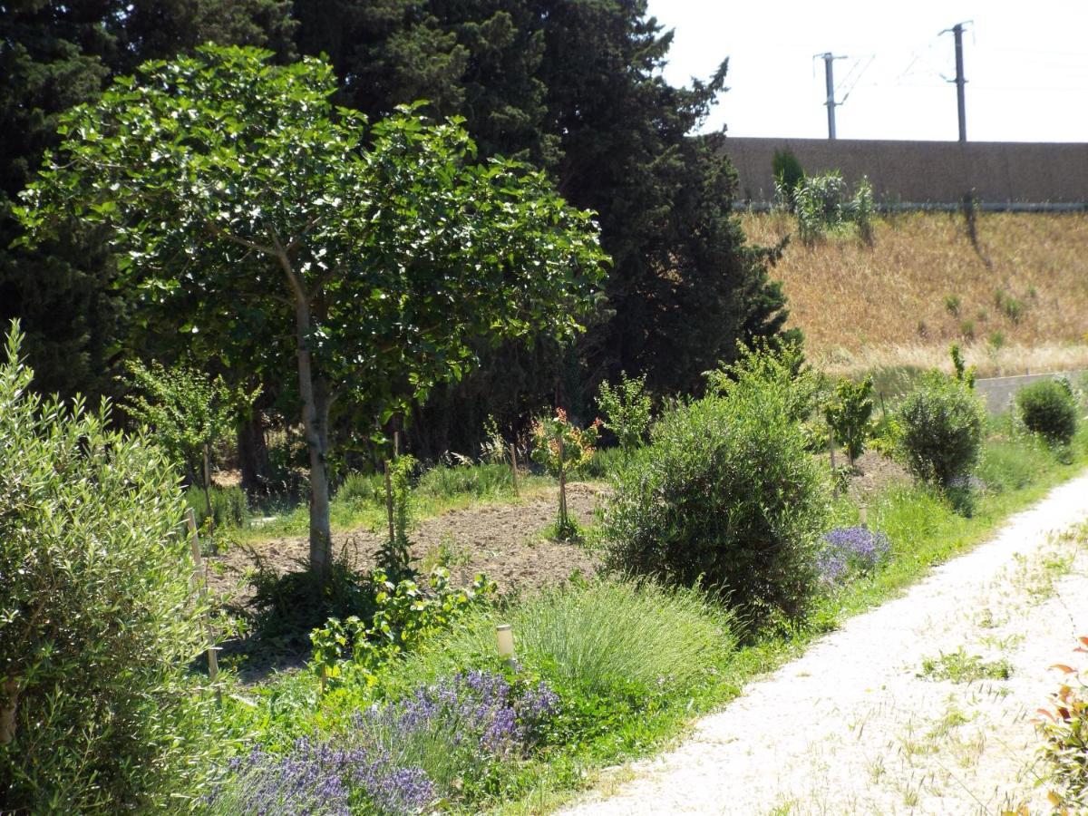 La Maison Du Moulin De Tartay Avignon Eksteriør billede